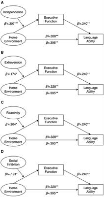 The influence of home environment on 2-year-old Chinese children's language development: the mediating effect of executive function and the moderating effect of temperament